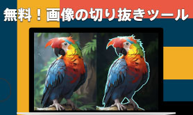摜؂蔲 p\R